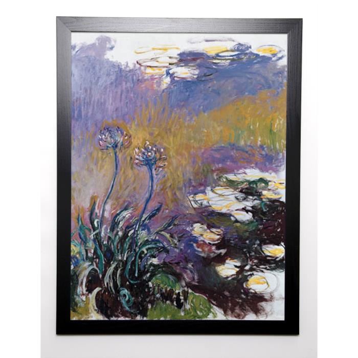 MONET CLAUDE Image encadrée Les agapanthes 57x77 cm Violet