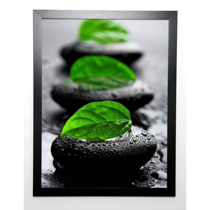 PHOTOGRAPHY COLLECTION Image encadrée Zen I 57x77 cm Vert