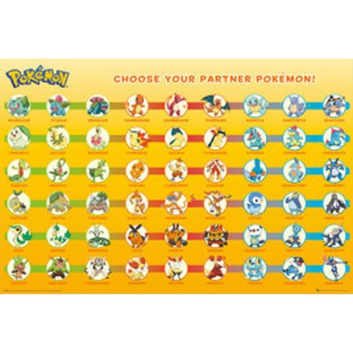 POKEMON Poster Partner Maxi - Garçon - A partir de 3 ans - Livré a l'unité