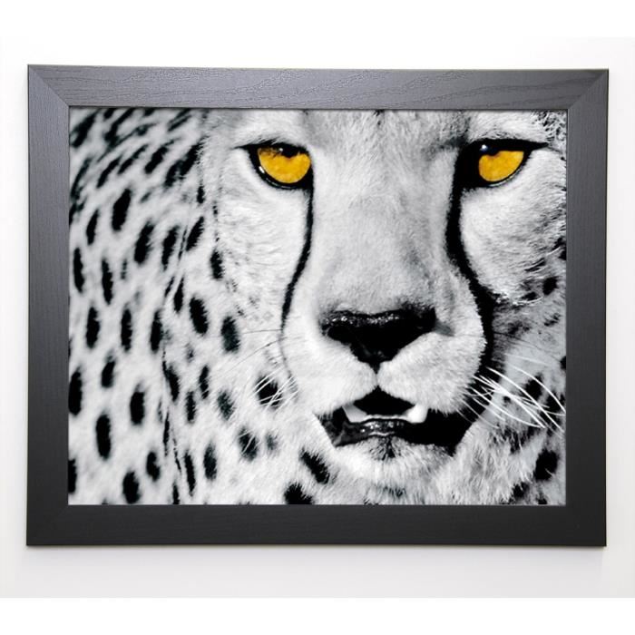 SETTE Image encadrée White Cheetah 47x57 cm Blanc