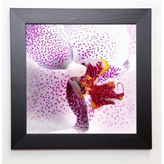 ALLEN Image encadrée Orchid II 37x37 cm Violet