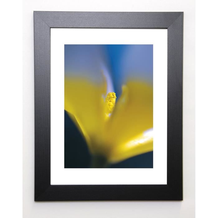 AYRAULT MARC Image encadrée Tulipe 3 - 37x47 cm - Jaune