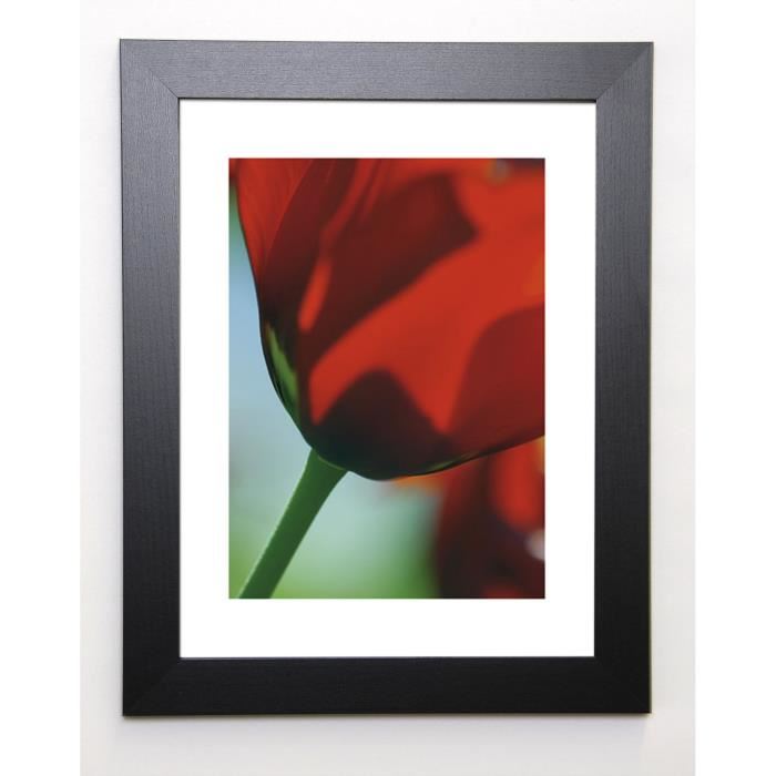 AYRAULT MARC Image encadrée Tulipe 4 - 37x47 cm - Rouge