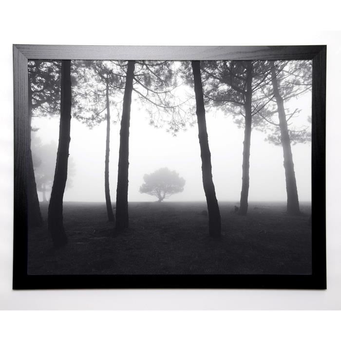 BRAUN STUDIO Image encadrée Spectrum Foret 67x87 cm Gris