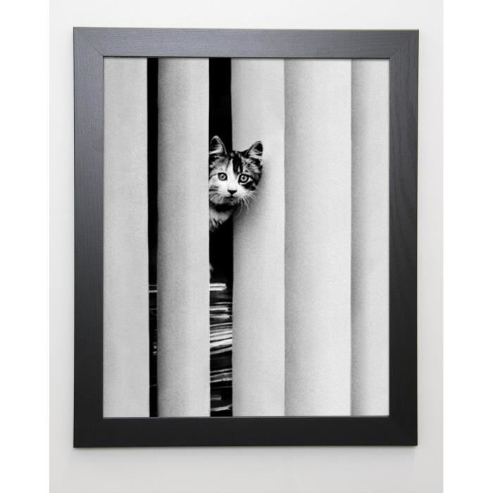 GOLBIN Image encadrée Chat Curieux 47x57 cm - Gris