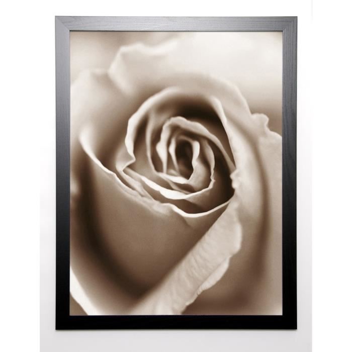 KENNEDY Image encadrée Heart of Rose 67x87 cm Beige