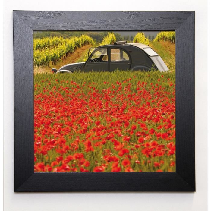 LAUTIER JULIEN Image encadrée La 2 CV aux coquelicots 37x37 cm Vert