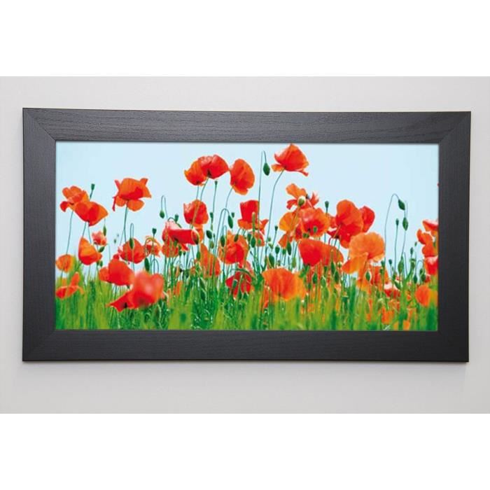 LENS Image encadrée Poppy Field 29,7x57 cm Rouge