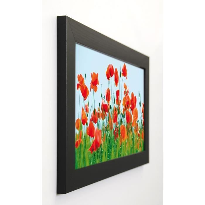 LENS Image encadrée Poppy Field 29,7x57 cm Rouge