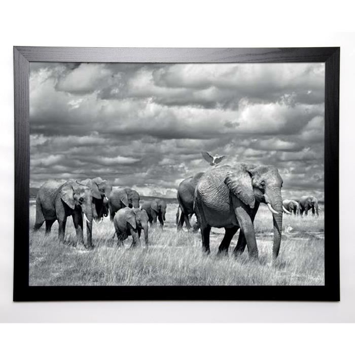 MARINA CANO Image encadrée Elephants of Kenya 67x87 cm Gris