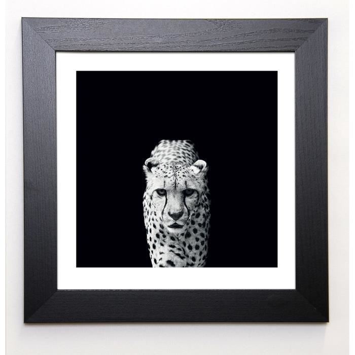 NICOLAS EVARISTE Image encadrée Acinonyx Jubatus 37x37 cm Noir