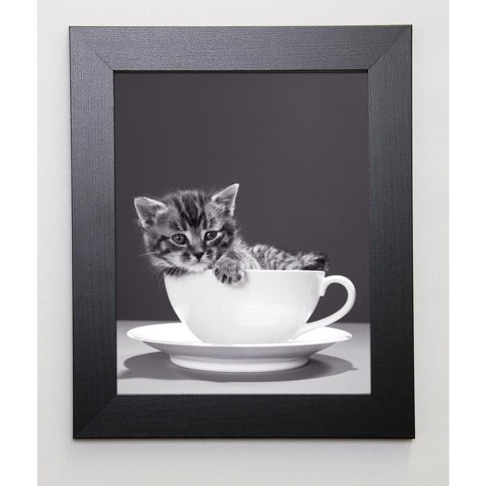 BRAUN STUDIO Image encadrée Chat Tasse Gris