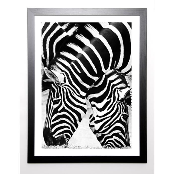 PELUCHETTI Image encadrée Two Zebras 67x87 cm Noir