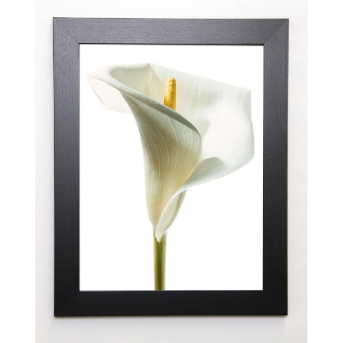 PHOTOGRAPHY COLLECTION Image encadrée Lily in Bloom 1 - 37x47 cm - Blanc