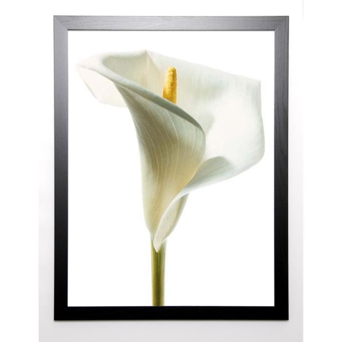 PHOTOGRAPHY COLLECTION Image encadrée Lily in Bloom I 67x87 cm Blanc