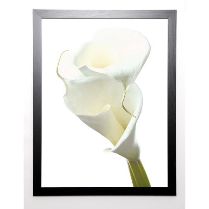 PHOTOGRAPHY COLLECTION Image encadrée Lily in Bloom II 67x87 cm Blanc