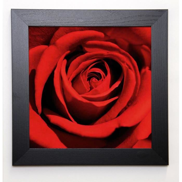 PINSARD Image encadrée Red Rose 37x37 cm Rouge