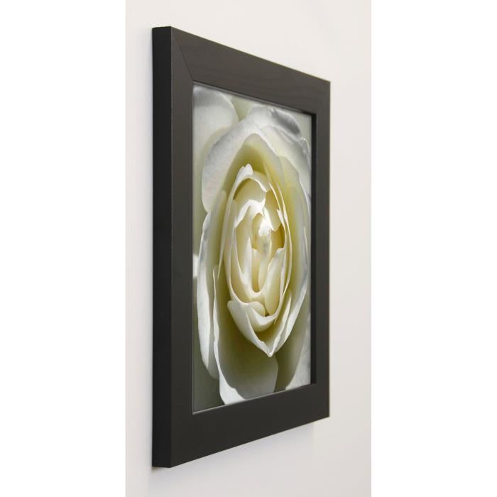 PINSARD Image encadrée White Rose 37x37 cm Blanc