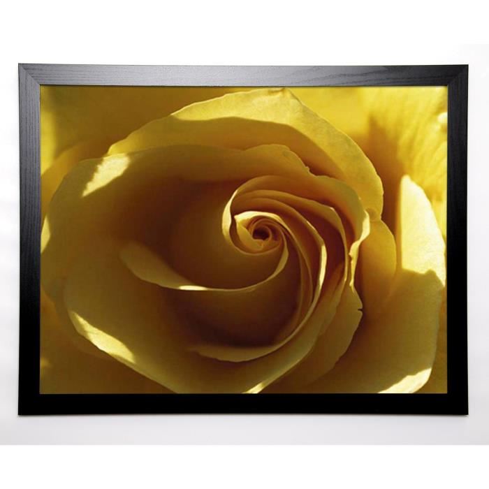 PINSARD Image encadrée Yellow Rose 67x87 cm Jaune