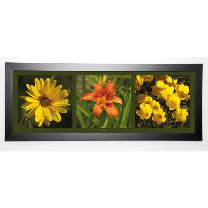 PINSARD LAURENT Image encadrée Fleurs 40x102 cm Jaune