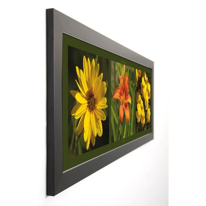 PINSARD LAURENT Image encadrée Fleurs 40x102 cm Jaune