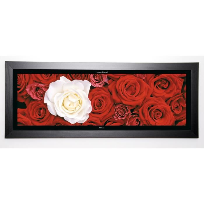 PINSARD LAURENT Image encadrée Roses I 40x102 cm Rouge