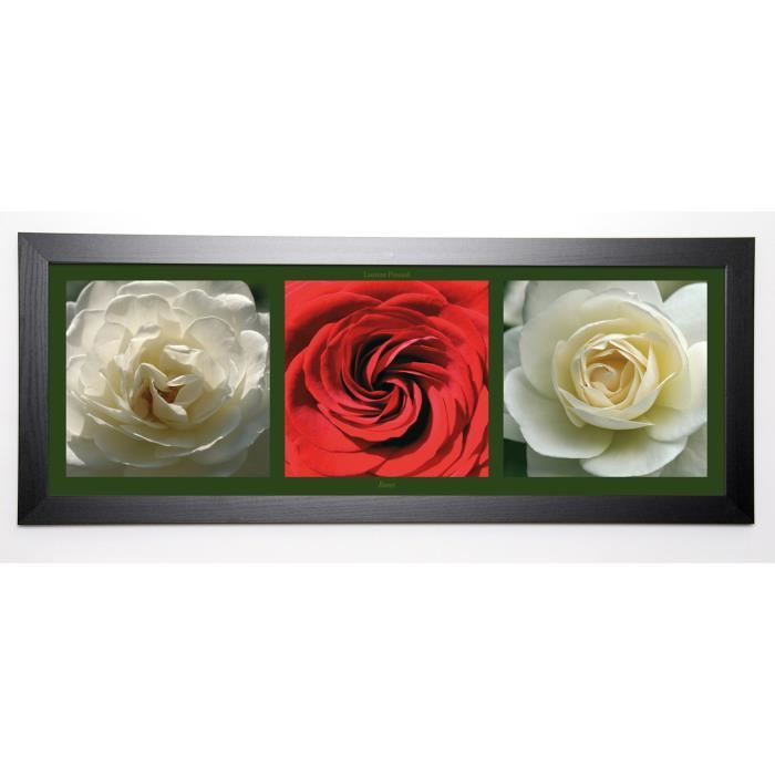 PINSARD LAURENT Image encadrée Roses II 40x102 cm Multicolore