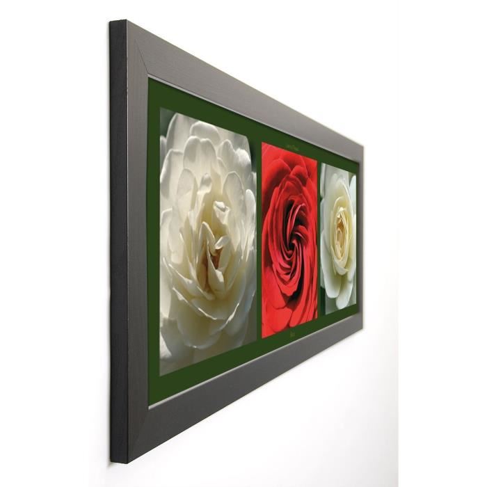 PINSARD LAURENT Image encadrée Roses II 40x102 cm Multicolore