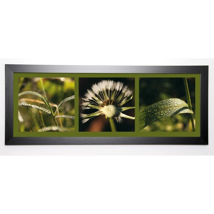 PINSARD LAURENT Image encadrée Rosée 40x102 cm Vert