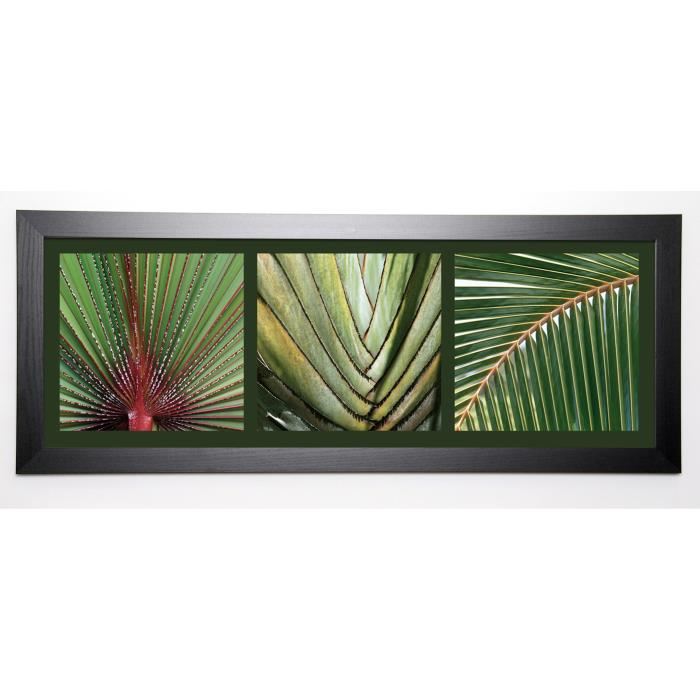 PINSARD LAURENT Image encadrée Palmiers 40x102 cm Vert