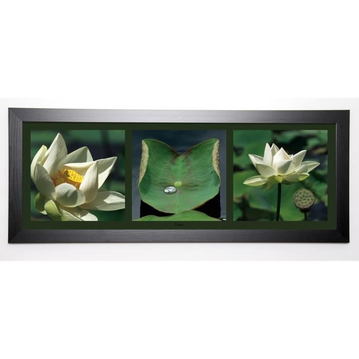 PINSARD LAURENT Image encadrée Lotus blancs 40x102 cm Vert