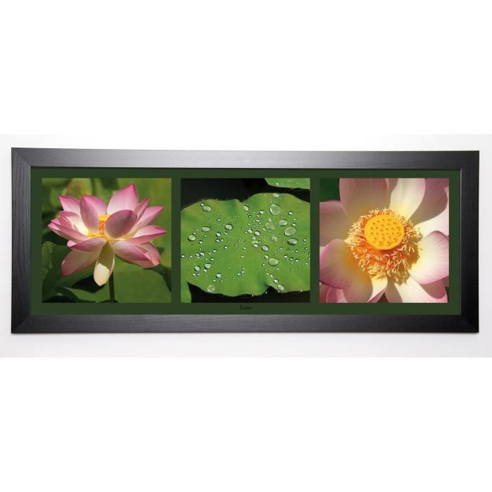 PINSARD LAURENT Image encadrée Lotus 40x102 cm Multicolore