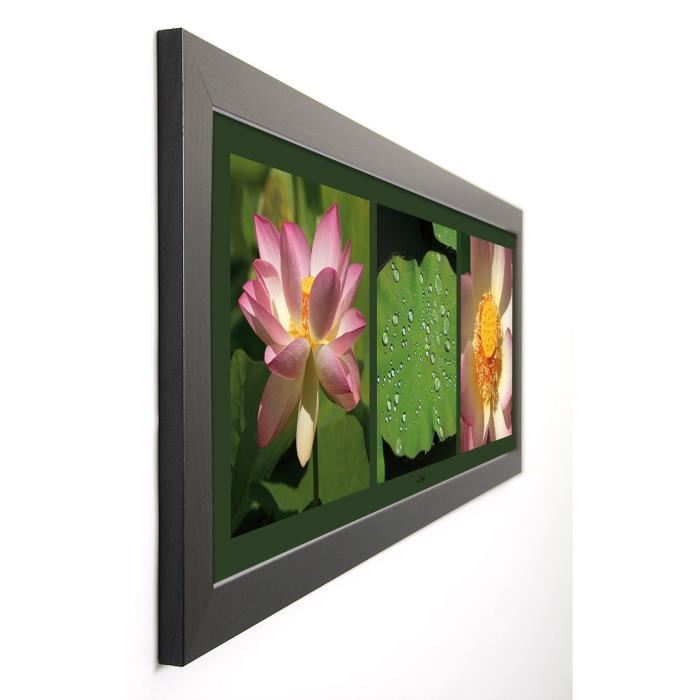 PINSARD LAURENT Image encadrée Lotus 40x102 cm Multicolore