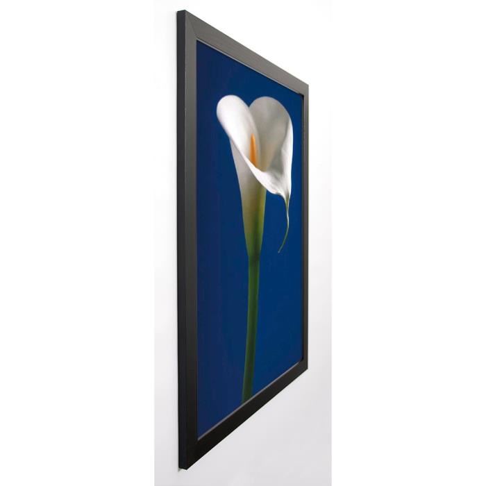 SEDGWICK Image encadrée Calla on Blue I 67x87 cm Bleu