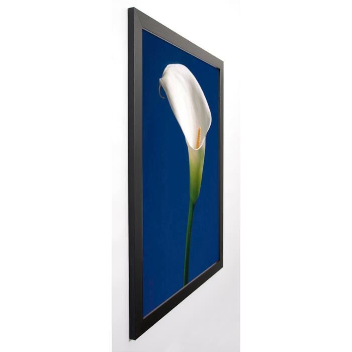 SEDGWICK Image encadrée Calla on Blue II 67x87 cm Bleu