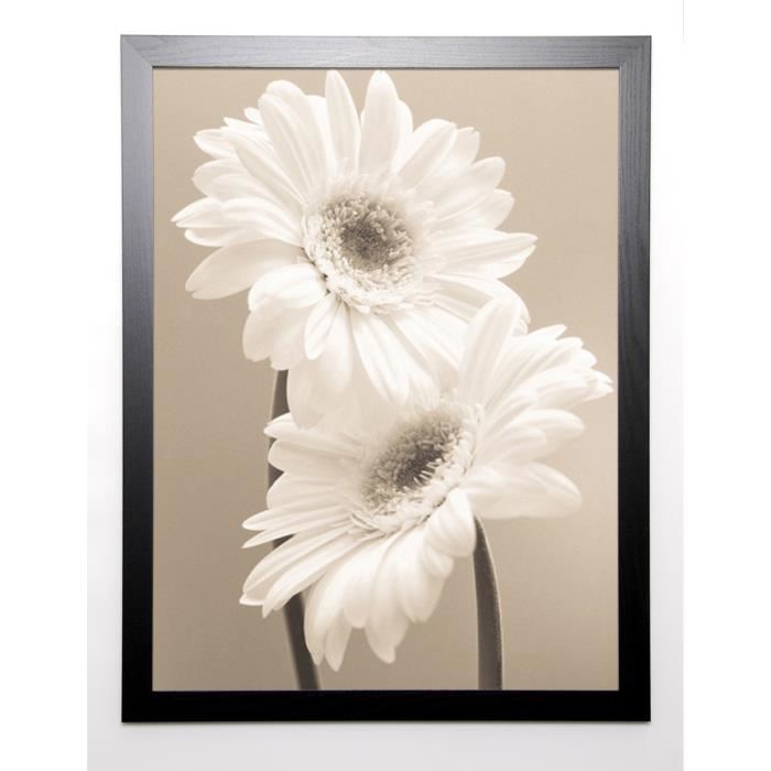 SHARP Image encadrée Two Daisies 67x87 cm Beige