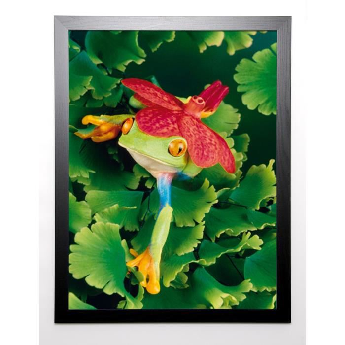 SHUMWAY Image encadrée Tree Frog with Orchid 67x87 cm Multicolore