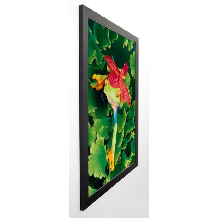 SHUMWAY Image encadrée Tree Frog with Orchid 67x87 cm Multicolore