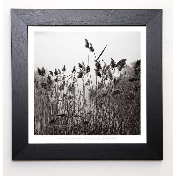 SILBERMAN Image encadrée Prospect Lake Grasses 37x37 cm Gris