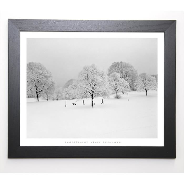 SILBERMAN Image encadrée Prospect Park Trees - 47x57 cm - Blanc