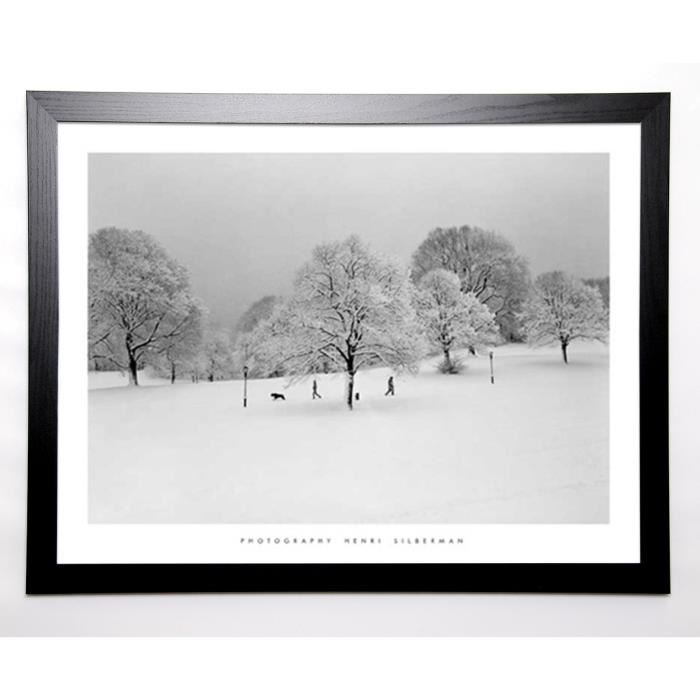 SILBERMAN Image encadrée Prospect Park Trees 67x87 cm Blanc