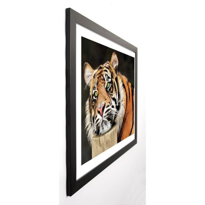 WALLBANK Image encadrée Lazy Tiger 67x87 cm Multicolore