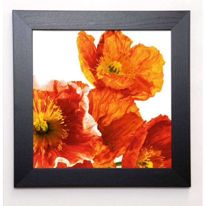 WEINSTEIN Image encadrée Poppies II 37x37 cm Orange