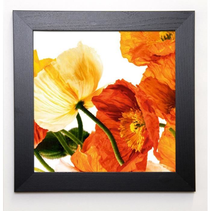 WEINSTEIN Image encadrée Poppies III 37x37 cm Orange