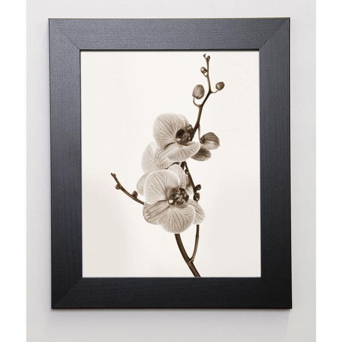 BUTLER Image encadrée Orchids in Sepia Tones 31x37 cm Ivoire