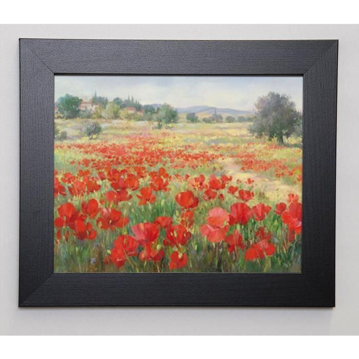 LIM FRANÇOIS Image encadrée Champs de coquelicots 31x37 cm Rouge