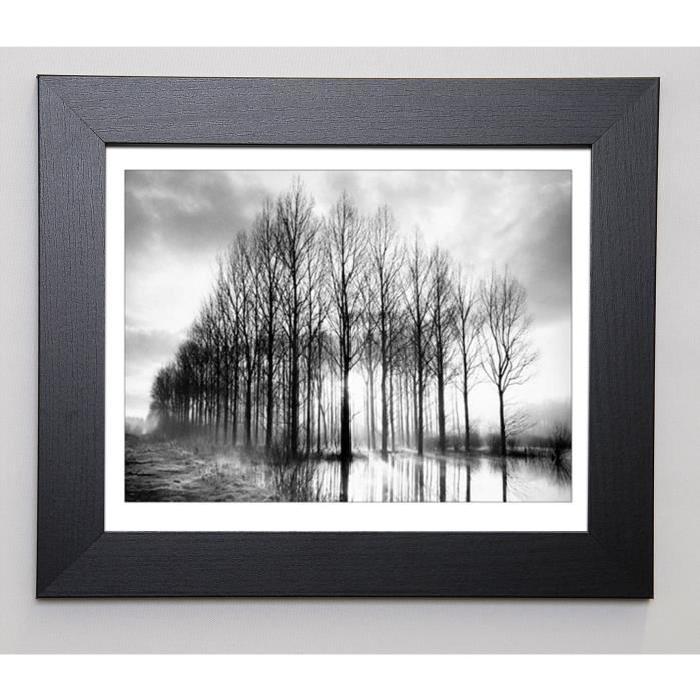 PHILIP Image encadrée Trees in Normandy 31x37 cm Gris