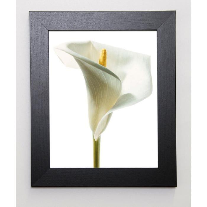 PRISMA Image encadrée Lily in Bloom I 31x37 cm Blanc