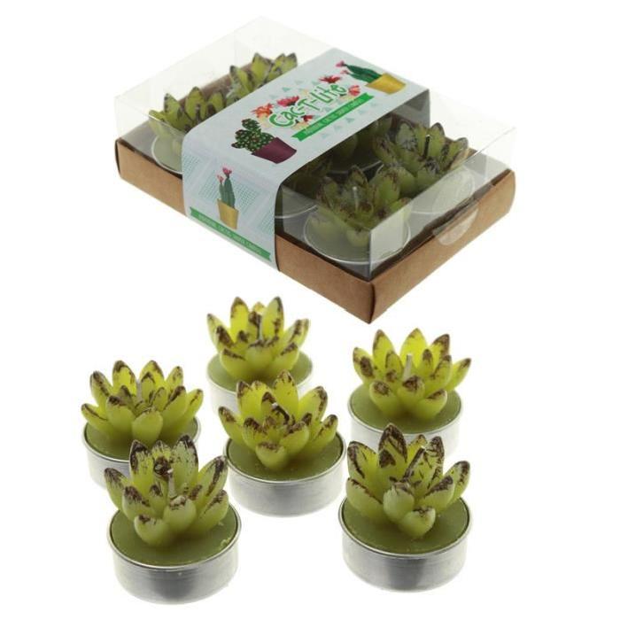 Lot de 6 Bougies - Cactus a Feuilles Ouvertes