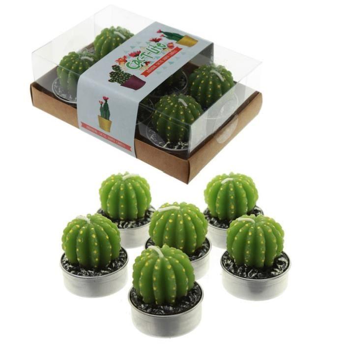 Lot de 6 Bougies - Cactus Unique